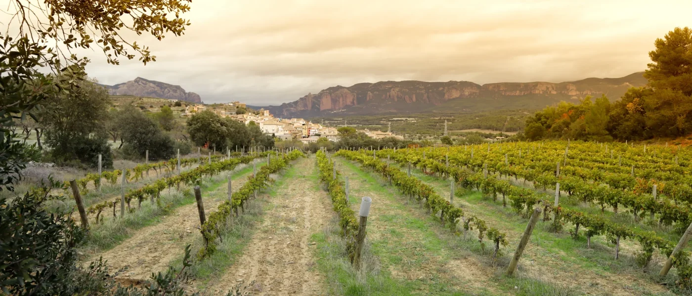 Bodegas Pegalaz