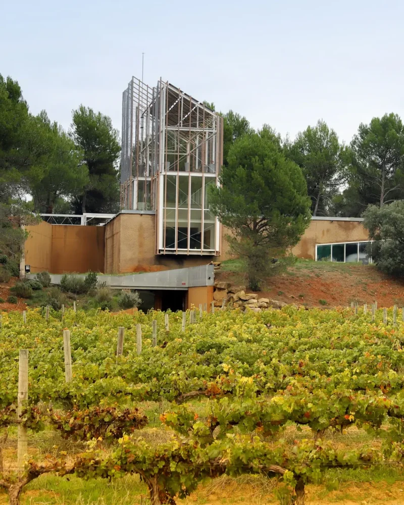 Bodegas Pegalaz Bodegas Pegalaz