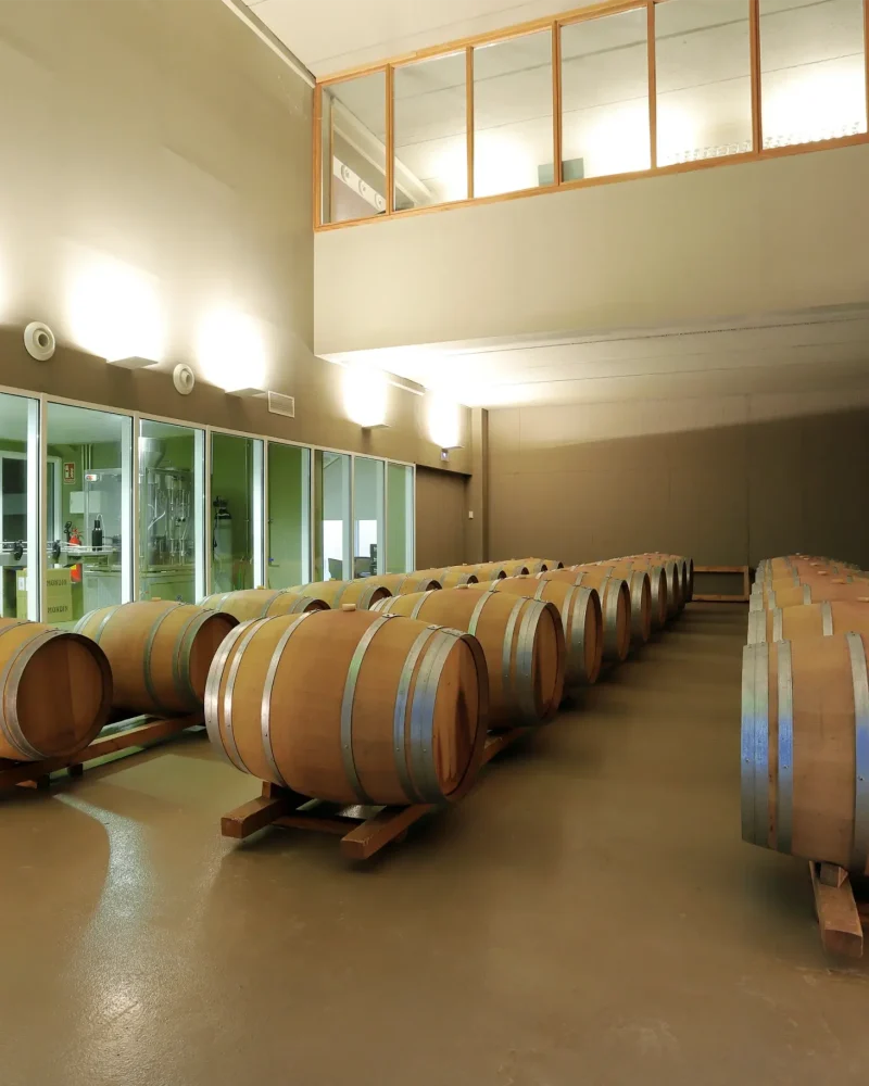 Bodegas Pegalaz Bodegas Pegalaz