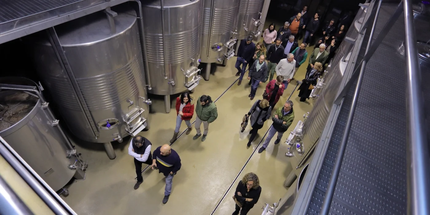 Bodegas Pegalaz